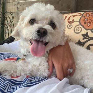 Meet your Posher, Marie